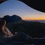 Birdbox Reksta
