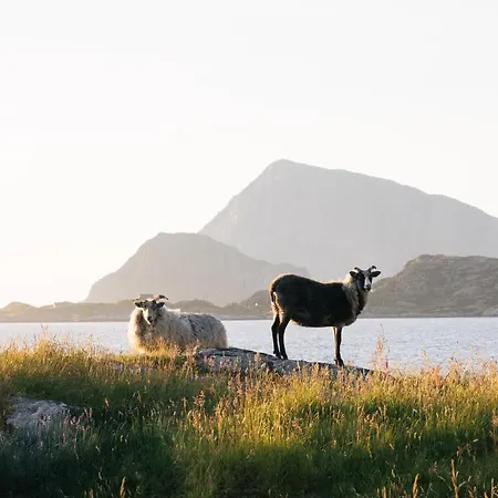 山林小屋 Birdbox Reksta 弗洛罗