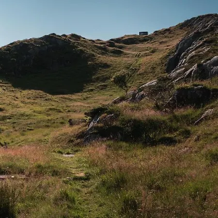 Birdbox Reksta * Флоро