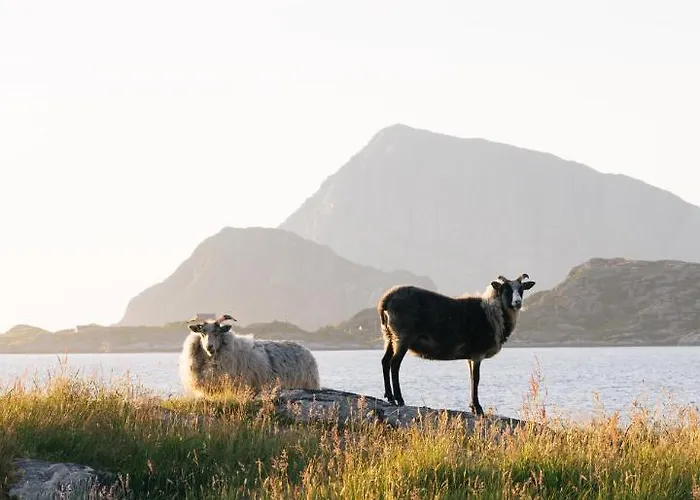 Lodger Birdbox Reksta Florø