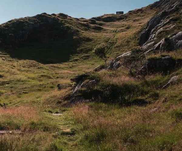 Birdbox Reksta * Florø